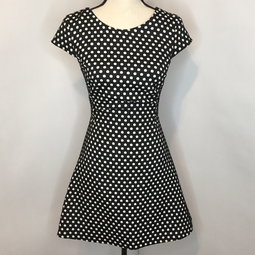 Zara Basic A Line Polka Dot Dress